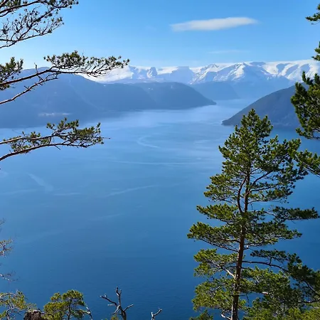 - & Near Sognefjord Daire